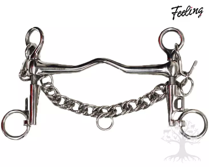 Feeling Weymouth Rotate Mullen Port - Weymouth  - 603055L - 4