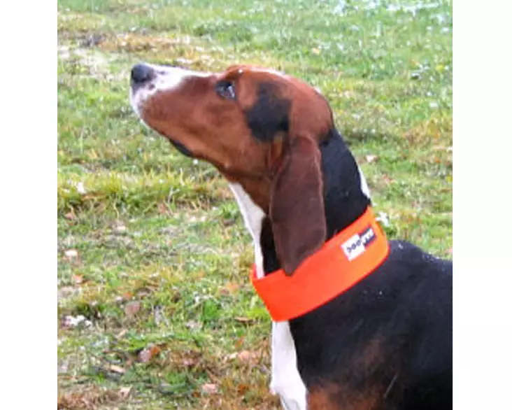 Kardog Huomiopanta - Heijastintuotteet, Metsästys - E140046L - 1