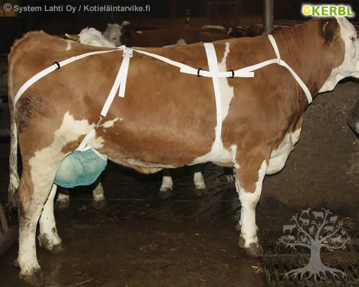 Kerbl Utareliivit, kaulahihnalla - Utareliivit - 1567L - 1