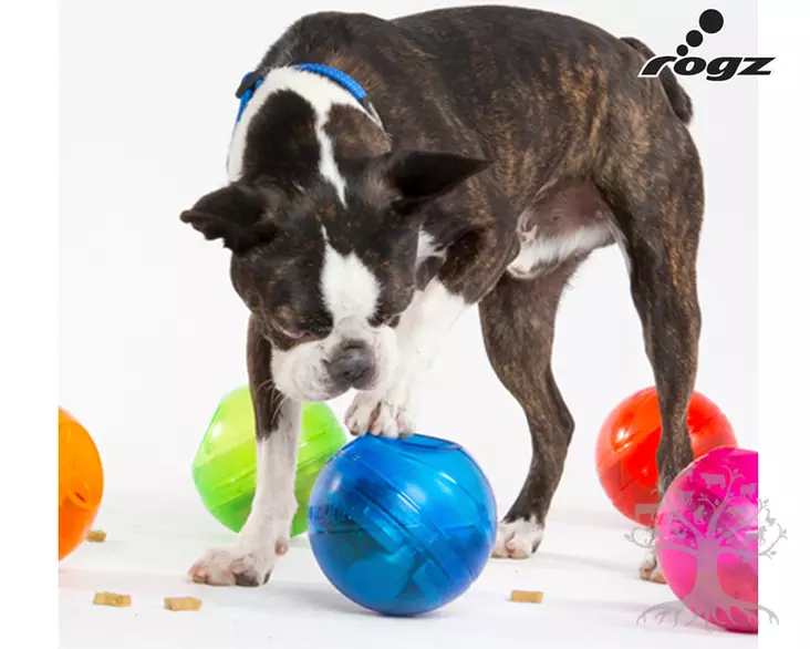 Rogz Aktivointipallo Tumbler 13cm - Activation Toys - 635.6323L - 7