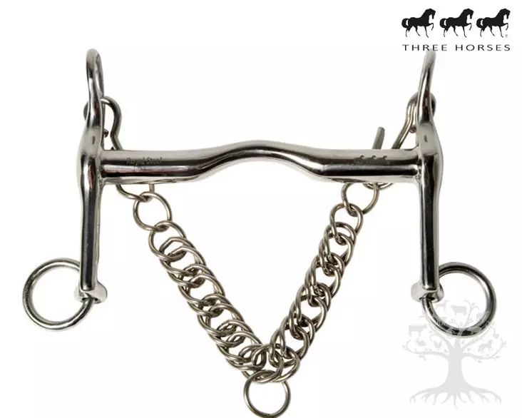 Royal Steel Weymouth Short Mullen Port - Weymouth  - 53272L - 1