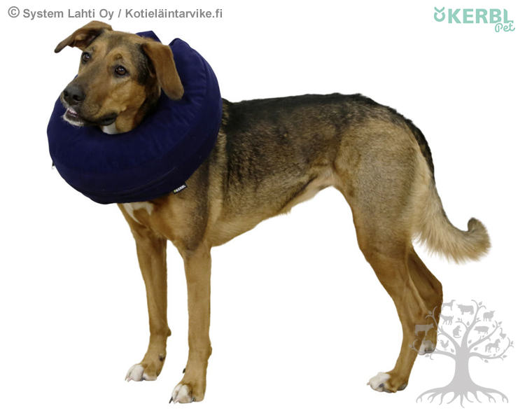 barkley and finn dog coat