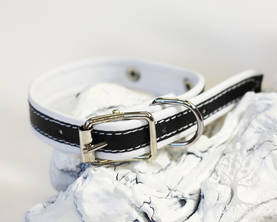 Arli Pentupanta, valkoinen/musta - Nahkapannat - 52243M - 2