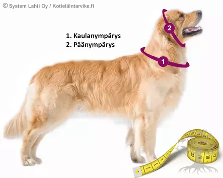 Sprenger RST Ketjupanta Extra Strong 4mm Black - Chain Collars - 606.4122M - 2