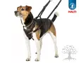Animals Halti Koiran Vedonestovaljas No Pull Harness - Vedonestopannat ja -valjaat - 937945M - 1