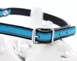 Arli Nahkapanta säädettävä puolikuristava, musta/turkoosi - Leather Collars - 56906M - 2