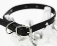 Arli Strassipanta, musta/kirkas - Leather Collars - 54810M - 2
