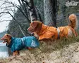 Hurtta Koiran Sademantteli Monsoon Karhunvatukka - Rain Coats - 933650M - 6