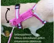 Kana Collection Pinsu Y-valjas Rintaremmi, pinkki - KANA Collection Harnesses - 16810137M - 4