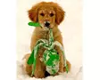 Koiranlelu Kong Wubba Classic - Rope and Throwing Toys - 05-7B-WB3M - 3