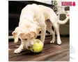 Kong Rewards Tennis Aktivointipallo - Activation Toys - 634.6174M - 2