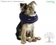 Kerbl Pet Puhallettava Kauluri - Kaulurit, Haavasuojat - 80834 - 2