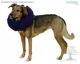 Kerbl Pet Puhallettava Kauluri - Kaulurit, Haavasuojat - 80834 - 3