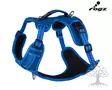 Rogz Utility Explore Valjas Blue - Dog Y-/H Shape Harnesses - 617.1460M - 1