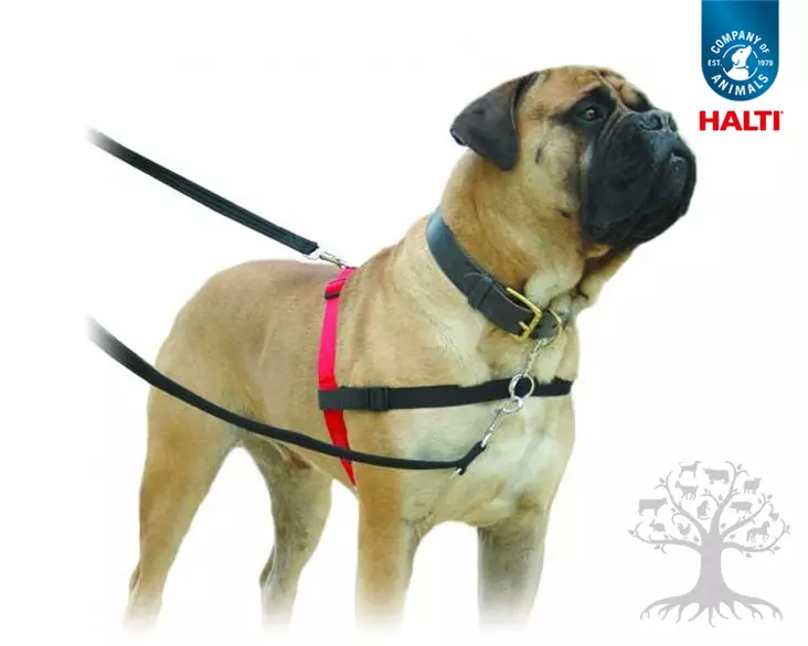 Animals Halti Vedonestovaljas Harness - Vedonestopannat ja -valjaat - 937940M - 1