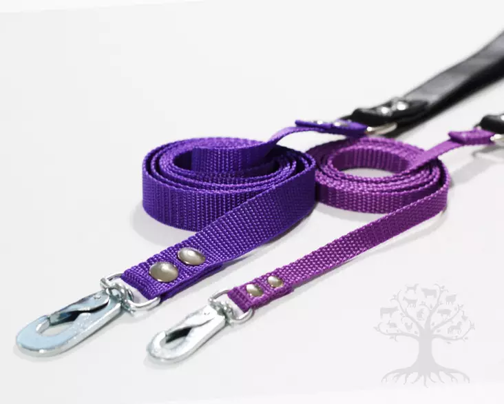 Arli Nailontalutin 160cm, violetti - Nylon Leashes - 58160M - 1