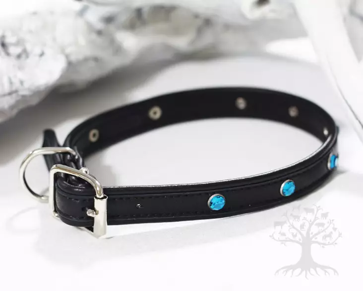 Arli Strassipanta, musta/turkoosi - Nahkapannat - 54827M - 1