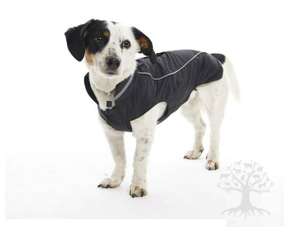 Buster Sademantteli Blackberry - Sademanttelit - 284621M - 1