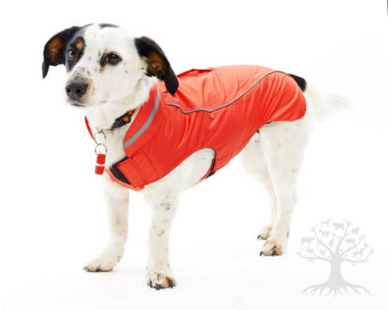 Buster Sademantteli Strawberry - Sademanttelit - 284631M - 1