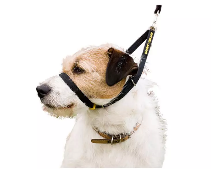 Canny Collar vedonestopanta koirille - Vedonestopannat ja -valjaat - 0CC001M - 1