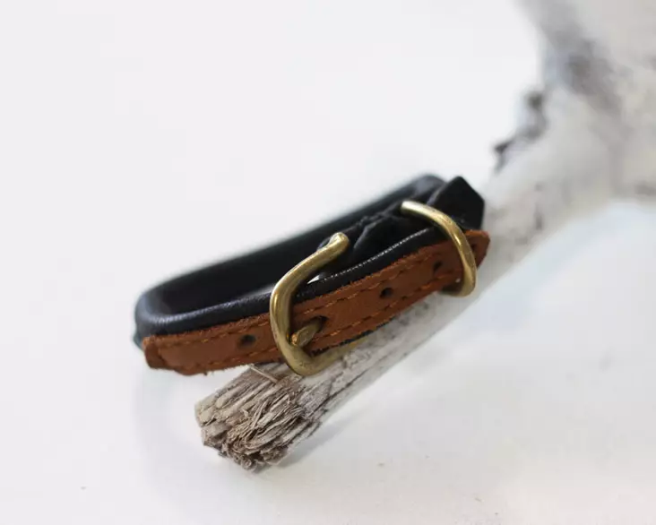 Jokke Nahkapanta Fifi, musta - Leather Collars - 101281M - 1