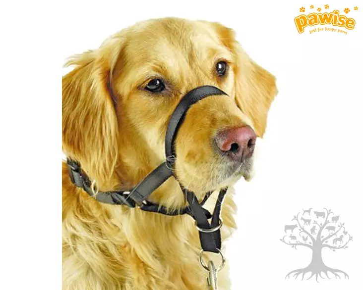 Pawise Vedonestopanta Master Control - Vedonestopannat ja -valjaat - 637.5010M - 1