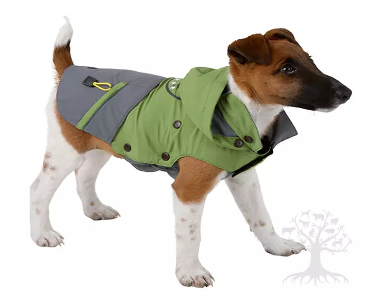 PetitLine Koiran Toppamantteli Chilly Day - Toppamanttelit - PL1406m - 1