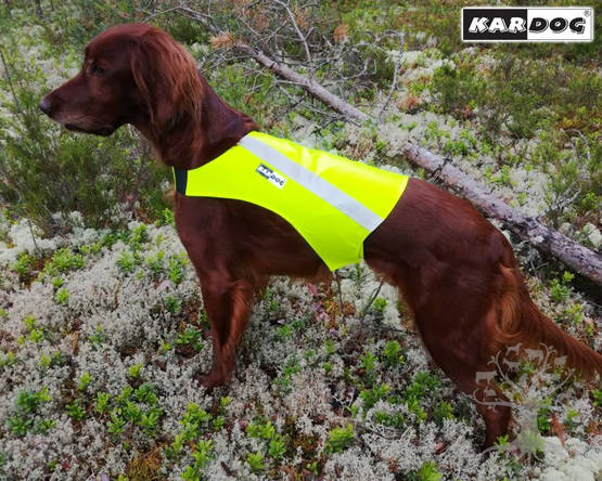 Kardog Koiran Huomioliivi Ruska, 2-värinen - Heijastintuotteet, Metsästys - KAR-RUS1M - 1