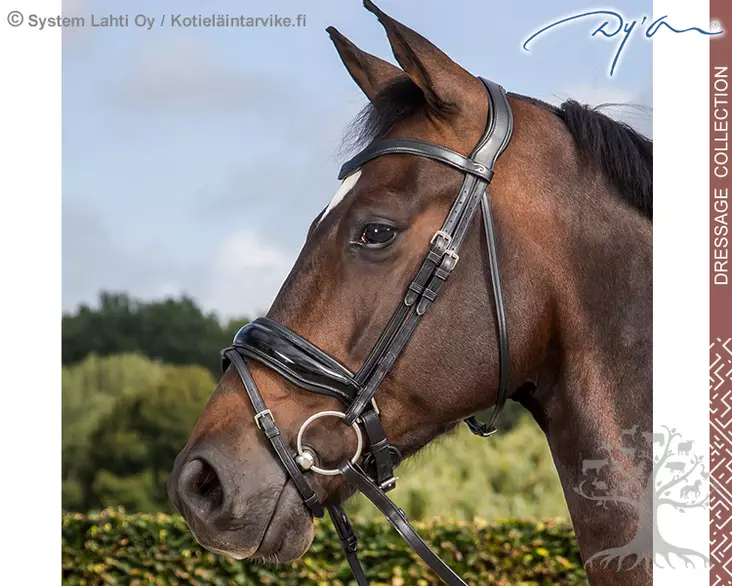 Dyon Dressage Collection Suitset Large Crank Patent Noseband - Dyon Dressage Flat - NEDCAN - 1