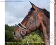 Dyon Dressage Collection Bridle with Large Crank Patent/ White Noseband - Dyon Dressage Flat - NEDCAO - 1