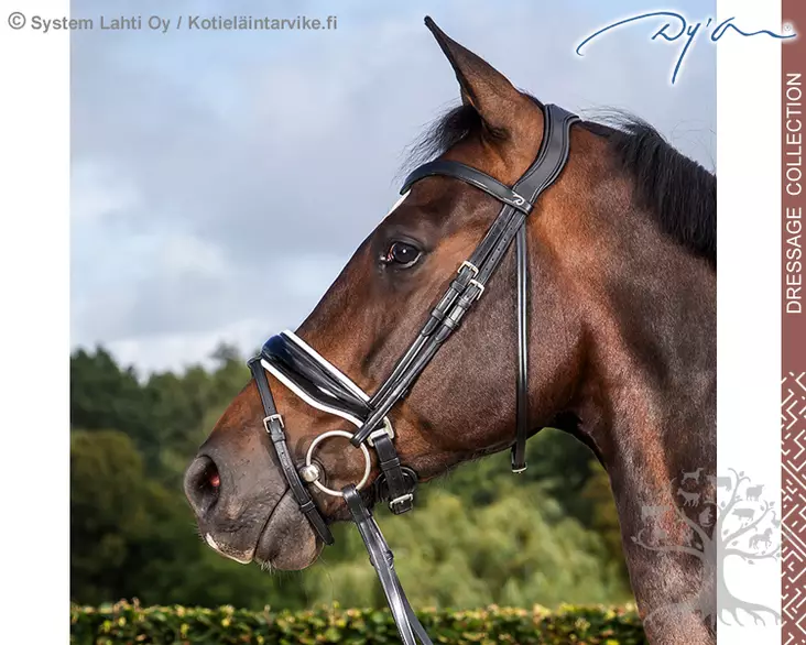 Dyon Dressage Collection Bridle with Large Crank Patent/ White Noseband - Dyon Dressage Flat - NEDCAO - 1