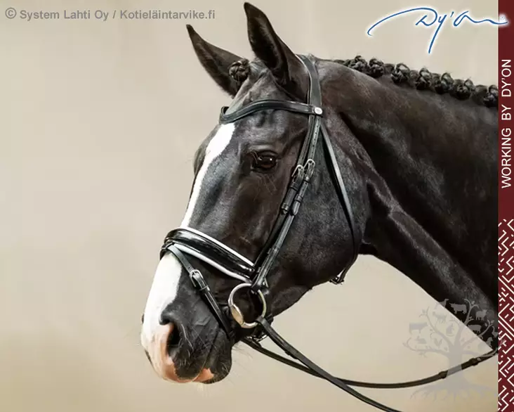 Working by Dyon DR Bridle Large Crank Patent/ White Noseband - Working by Dyon - WODCAO - 1