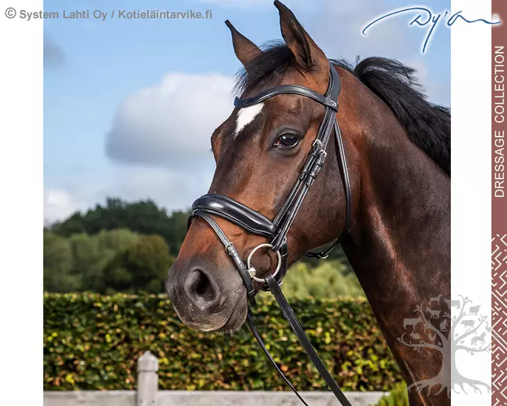 Dyon Dressage Collection Suitset Medium Crank Matte Noseband - Dyon Dressage Flat - NEDCAP - 1