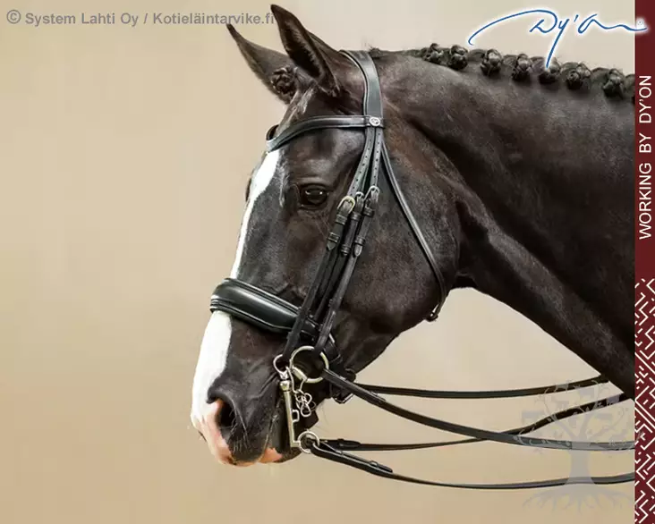 Working by Dyon DR Double Bridle Large Crank Matte Noseband - Working by Dyon - WOECAR - 1
