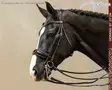 Working by Dyon DR Kankisuitset Large Crank Patent Noseband - Working by Dyon - WOECAS - 1
