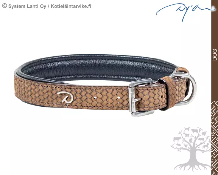 Dyon Dog Collar Basket Brown - Dyon Dog - DC31CBRXXS - 1