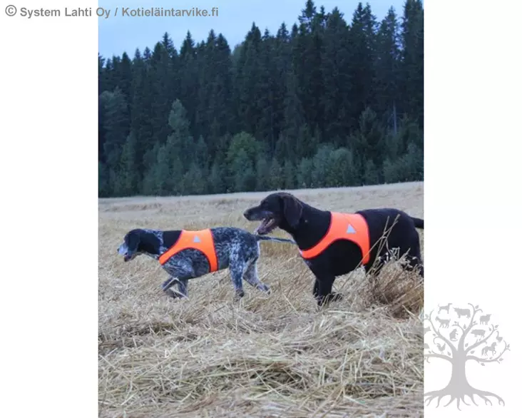 Mummadesign Huomioliivi 2-Värinen XS - Reflective Products, Hunting - MDHLXS - 1