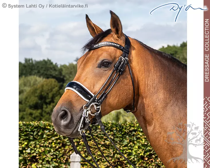 Dyon Dressage Round Collection Kankisuitset Large Crank Patent/ White Noseband - Dyon Dressage Round - NREHAT - 1