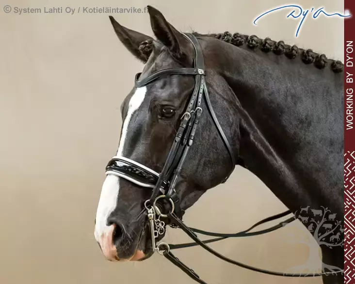 Working by Dyon DR Kankisuitset Large Crank Patent/ White Noseband - Working by Dyon - WOECAT - 1