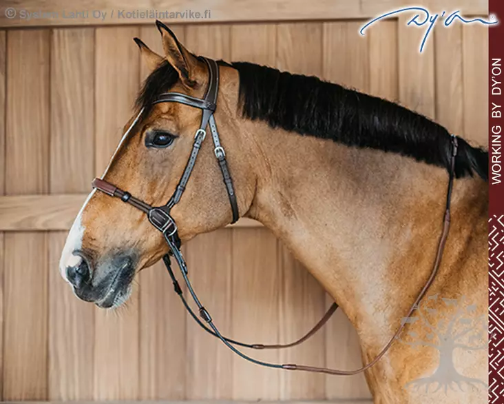 Working by Dyon Bridle Bitless - Working by Dyon - WOCCXV - 1