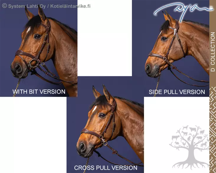 Dyon D Collection Suitset D Motion 3 in 1 - Dyon D Collection - DYCCCW - 2