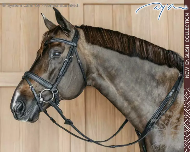 Dyon New English Collection Bridle Plaited Flash Noseband with Pull Back - Dyon New English - NEAJAZ - 1